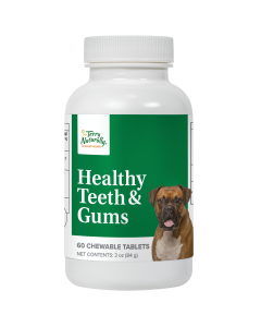 Healthy Teeth and Gums Pill Bottle  by Terry Naturally Animal Health